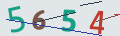 verifycode